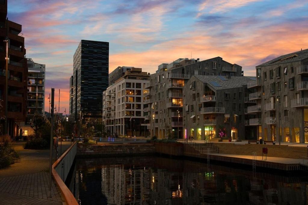 Lovely Central Apartment With Two Large Bedrooms Nearby Oslo Opera, Vis A Vis Botanical Garden Exterior foto