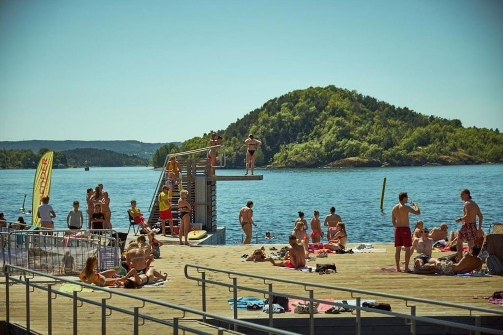 Lovely Central Apartment With Two Large Bedrooms Nearby Oslo Opera, Vis A Vis Botanical Garden Exterior foto